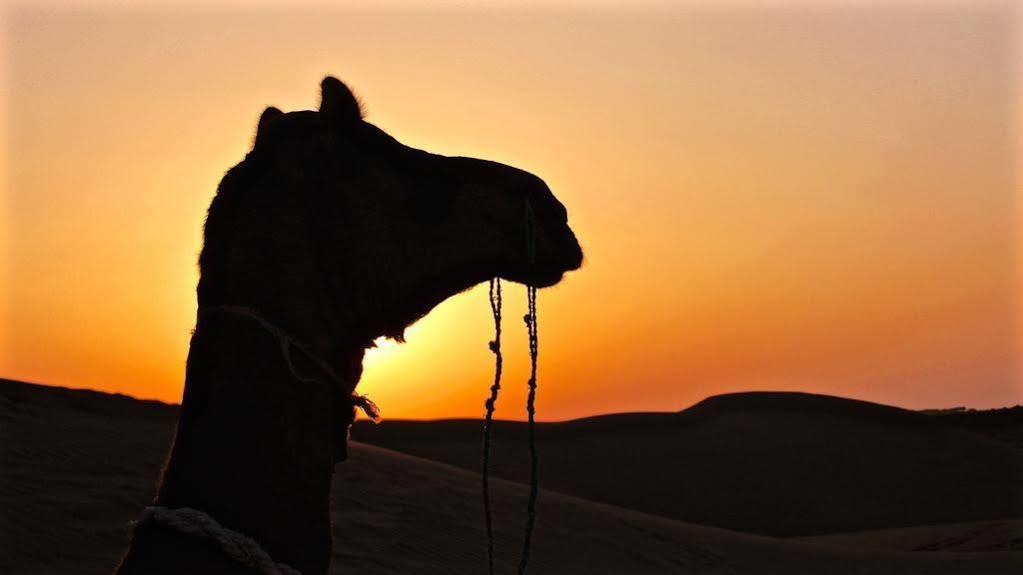 Damodra Desert Camp Jaisalmer Exteriör bild